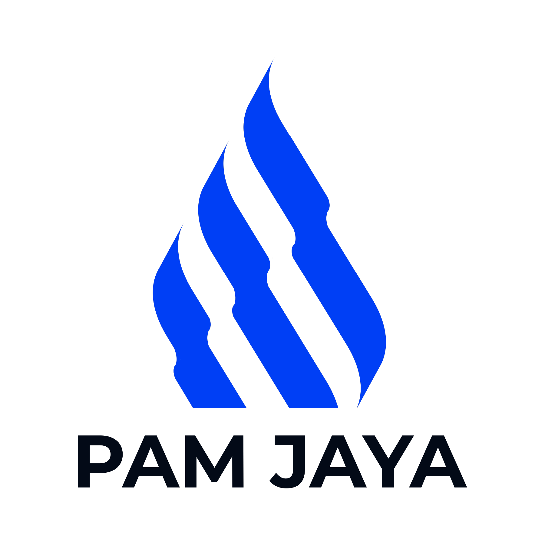 Pam Jaya